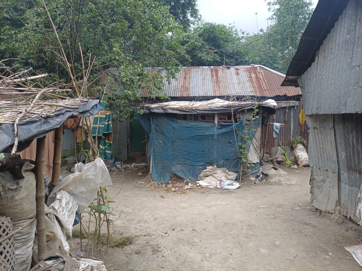 Image of রাইফা